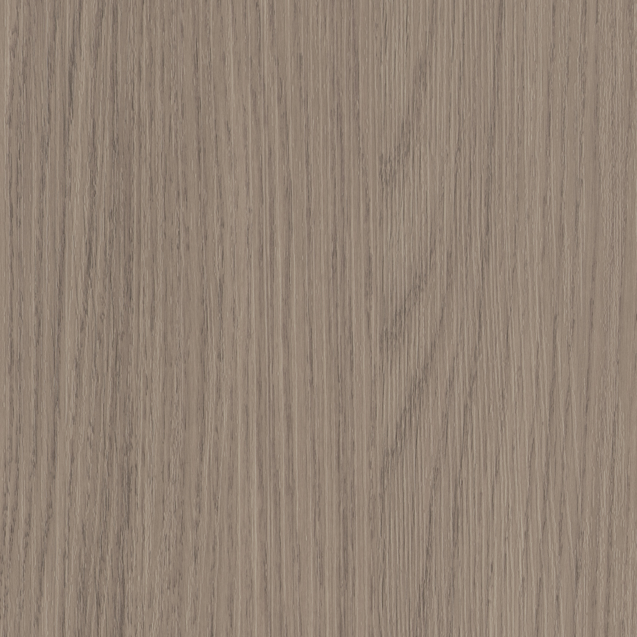 Vicenza Grey Oak