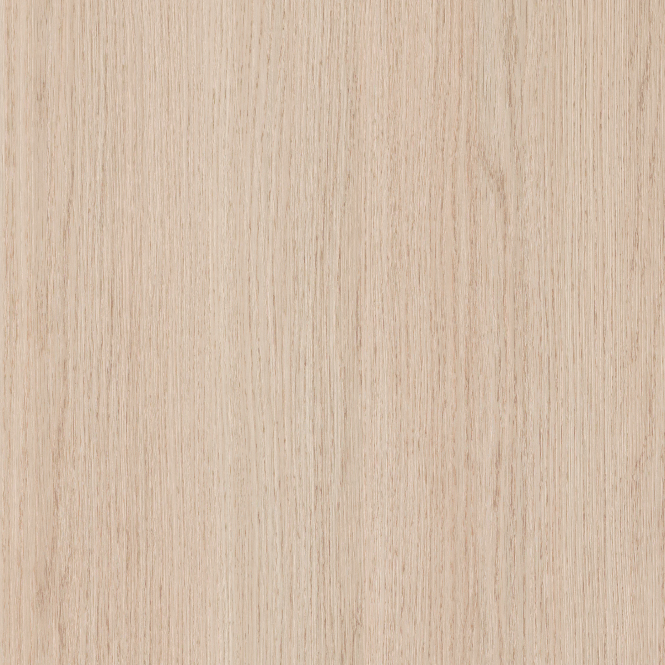 Vicenza Light Oak